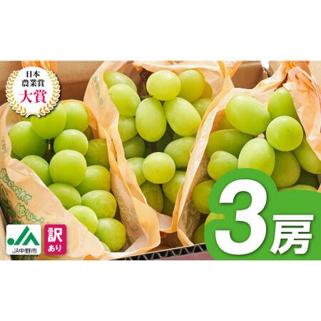 ふるさと納税 【2026年発送】訳ありシャインマスカット3房1.3kg以上　ご自分へのご褒美　JA中...