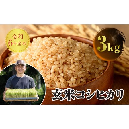 ふるさと納税 令和6年産 JAS認定 有機栽培米 コシヒカリ 玄米 3kg 米 お米 おこめ ご飯 ...