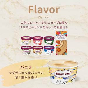 ふるさと納税 <全12回定期便・連続>ハーゲン...の詳細画像1