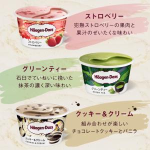ふるさと納税 <全12回定期便・連続>ハーゲン...の詳細画像2