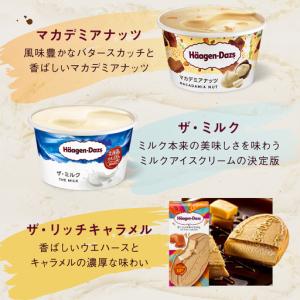 ふるさと納税 <全12回定期便・連続>ハーゲン...の詳細画像3