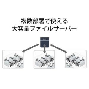 ふるさと納税 BUFFALO/バッファロー T...の詳細画像1