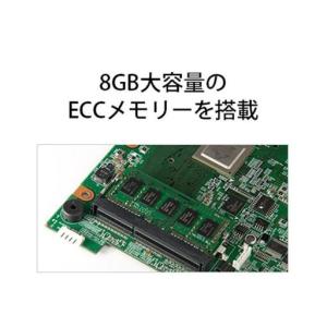 ふるさと納税 BUFFALO/バッファロー T...の詳細画像4