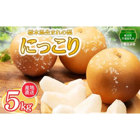 ふるさと納税 【ふるさと納税】【2024年先行予約】栃木県産 にっこり 梨 | なし ナシ 完熟 に...