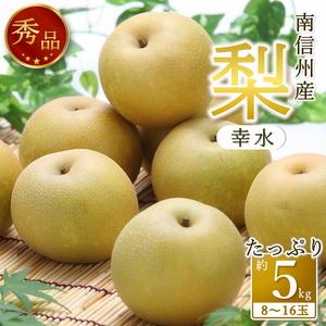 ふるさと納税 【南信州産】梨「幸水」秀品約5kg（8玉〜16玉）＜2026年8月下旬より発送＞ 長野県高森町