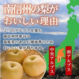 ふるさと納税 【南信州産】梨「幸水」秀品約5k...の詳細画像2