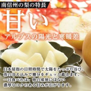 ふるさと納税 【南信州産】梨「幸水」秀品約5k...の詳細画像3