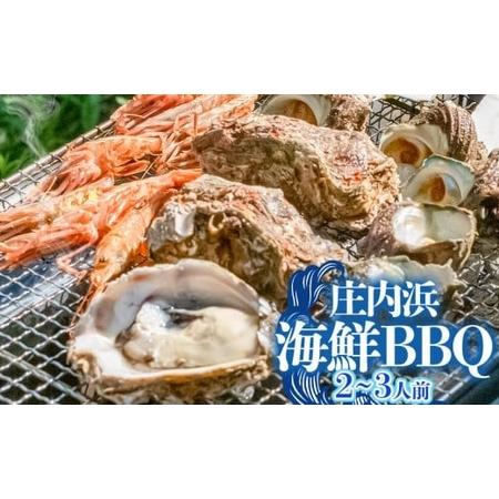 ふるさと納税 【令和6年産 先行予約】庄内浜海鮮ＢＢＱ（バーベキュー）セット　２〜３人前 K-646...