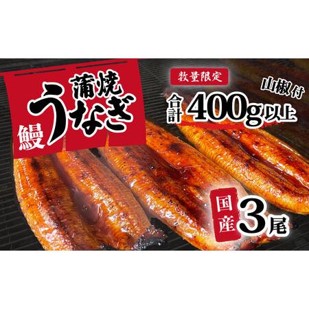 ふるさと納税 うなぎ 国産 訳ありウなぎ 蒲焼き 3尾 400g ウナギ  茨城県八千代町