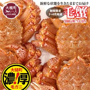 ふるさと納税 【令和8年発送】三陸産！活毛ガニセット 300g×4杯【08】【2026年2月〜4月発...