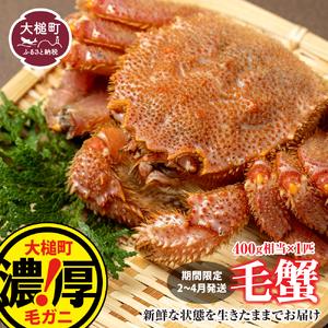 ふるさと納税 【令和8年発送】三陸産！活毛ガニ 400g×1杯【08】【2026年2月〜4月発送】【...