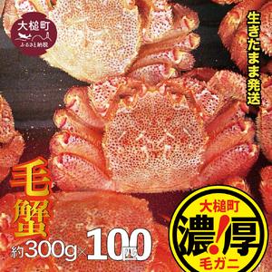 ふるさと納税 【令和8年発送】三陸産！活毛ガニセット 300g×100杯【08】【2026年2月〜4...