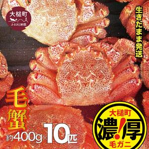 ふるさと納税 【令和8年発送】三陸産！活毛ガニセット 400g×10杯【08】【2026年2月〜4月...