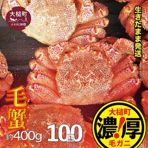 ふるさと納税 【令和8年発送】三陸産！活毛ガニセット 400g×100杯【08】【2026年2月〜4...