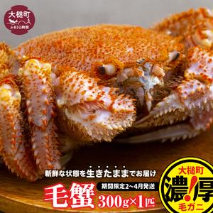 ふるさと納税 【令和8年発送】三陸産！活毛ガニ 300g相当×1杯【08】 【2026年2月〜4月発...