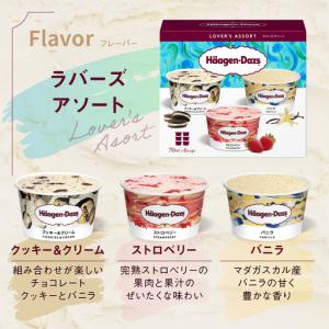 ふるさと納税 <全12回定期便・連続>ハーゲン...の詳細画像1