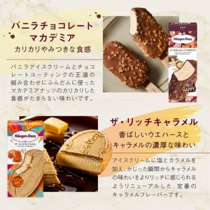 ふるさと納税 <全12回定期便・連続>ハーゲン...の詳細画像2