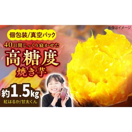 ふるさと納税 紅はるか（甘太くん）焼き芋 約1.5kg /愛まんてん[UBD008] 佐賀県武雄市