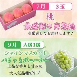 ふるさと納税 【発送月固定定期便】山梨の美味し...の詳細画像1