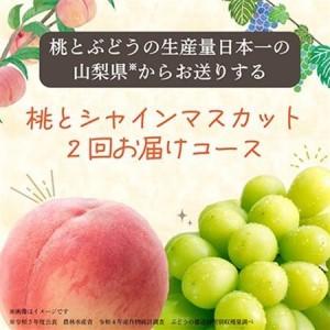 ふるさと納税 【発送月固定定期便】山梨の美味し...の詳細画像2
