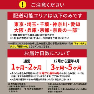 ふるさと納税 自転車 アシスタU LT (ライ...の詳細画像3
