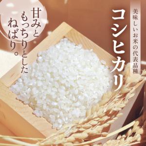 ふるさと納税 【先行予約】【令和8年産・新米】...の詳細画像1