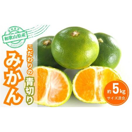 ふるさと納税 【2026年秋頃発送予約分】こだわりの青切りみかん　約5kg  有機質肥料100%　 ...