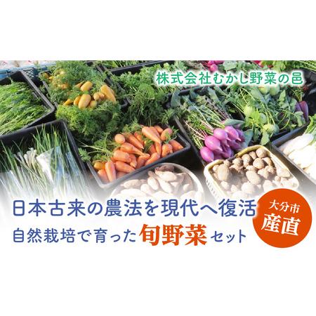 ふるさと納税 F01005  むかし野菜の邑　大分市産直　自然栽培の野菜セット 大分県大分市