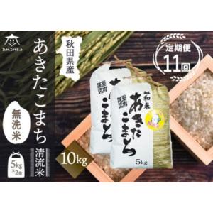 ふるさと納税 《定期便11ヶ月》あきたこまち 清流米 10kg(5kg×2袋) 【無洗米】秋田市雄和産 秋田県秋田市