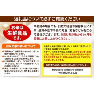ふるさと納税 《定期便10ヶ月》ひとめぼれ 1...の詳細画像3