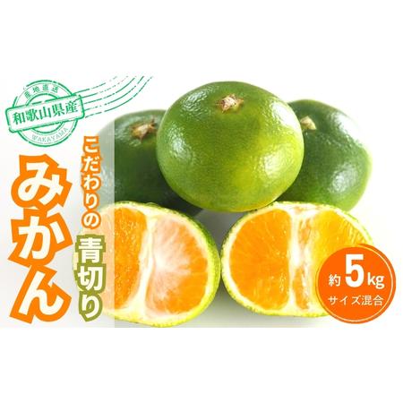 ふるさと納税 【2026年秋頃発送予約分】こだわりの青切りみかん　約5kg  有機質肥料100%　 ...