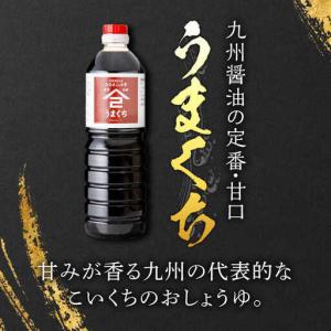 ふるさと納税 【12回定期便】 うまくち醤油 ...の詳細画像2
