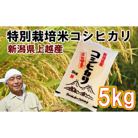 ふるさと納税 【先行販売】新潟県上越産特別栽培米コシヒカリ5kg【白米】令和6年度産 新潟県上越市