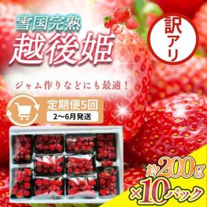 ふるさと納税 【先行予約・定期便5回】訳あり 越後姫 いちご 200g×10 越後姫 (2~6月発送) 新潟県上越市