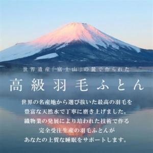 ふるさと納税 本掛け羽毛布団 (ダブル・白) ...の詳細画像3