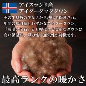 ふるさと納税 本掛け羽毛布団(シングル・ピンク...の詳細画像2