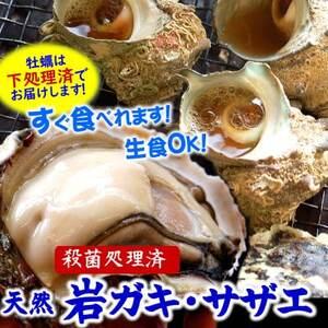 ふるさと納税 旬もの山陰の岩ガキ・サザエ詰合せ(大きさにより各6〜10個入)牡蠣は下処理してお届けし...