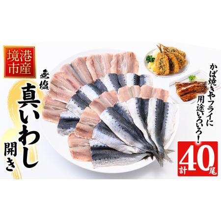 ふるさと納税 境港産 無塩いわしひらき(計40尾)鳥取県 境港市 いわし イワシ 鰯 開き かば焼き...