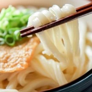 ふるさと納税 【糖質オフ 50%】低糖質麺 うどん 2700g(約27人前)【1256465】 岐阜...