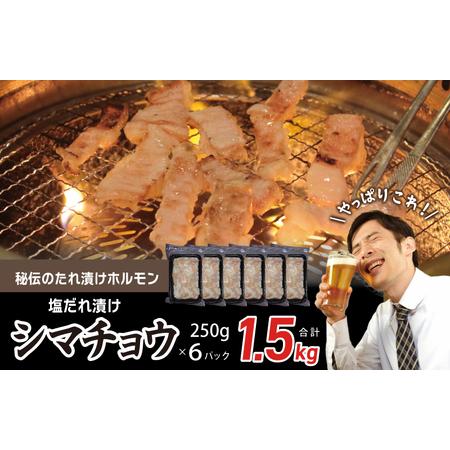 ふるさと納税 【焼肉屋の定番】シマチョウ 塩だれ漬け 1.5kg 小分け 250g×6 牛肉 ホルモ...