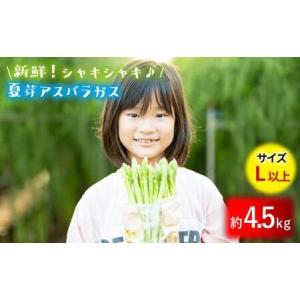 ふるさと納税 【生で食べれるほどの新鮮さ】夏芽アスパラガス4.5kg (Lサイズ以上) アスパラガス アスパラ あすぱらがす あすぱら 野菜 新鮮 夏.. 長崎県東彼杵町｜furunavi