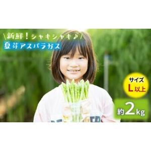 ふるさと納税 【生で食べれるほどの新鮮さ】夏芽アスパラガス2kg (Lサイズ以上) アスパラガス アスパラ あすぱらがす あすぱら 野菜 新鮮 夏野.. 長崎県東彼杵町｜furunavi