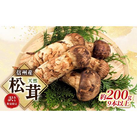 ふるさと納税 【訳あり】数量限定/信州産「天然松茸」（約200g/9本以上） 長野県駒ヶ根市