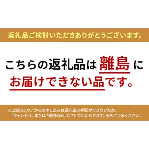 ふるさと納税 体重計 体組成計 IBCM-21...の詳細画像1