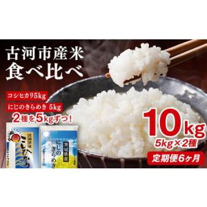 ふるさと納税 【定期便 6か月】【新米】令和8年産 古河市のお米食べ比べ コシヒカリ・にじのきらめき 5kg×2種類 ｜米 ※2026年9月〜発送 _D.. 茨城県古河市