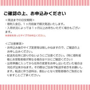 ふるさと納税 【2パック】 メリーズ ずっと肌...の詳細画像3