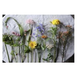 ふるさと納税 【定期便】季節の切り花セットS（６ヶ月間毎月お届け）花　観葉植物　切り花　生花　フラワー　飾り　インテリア　花のある生活.. 愛知県春日井市