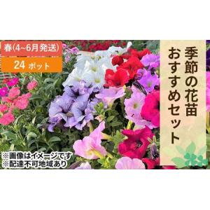 ふるさと納税 春 の 花苗 おすすめ セット 24ポット(4〜6月発送) ガーデニング 園芸 お花 花 フラワー 岡山県赤磐市