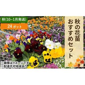 ふるさと納税 秋 の 花苗 おすすめ セット 2...の商品画像