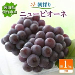 ふるさと納税 朝採りニューピオーネ　1kg(2房)【配送不可地域：離島・北海道・沖縄県】【1142638】 岡山県美作市